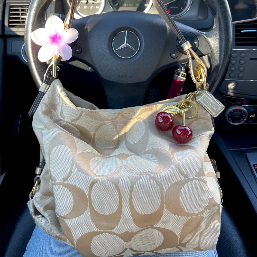 🍒🍓Coach hobo bag🍓🍒